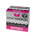 Butterfly " Training Ball 40+ "