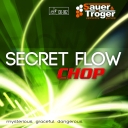 Sauer & Tröger " Secret Flow "