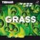 Tibhar " Grass DEF "